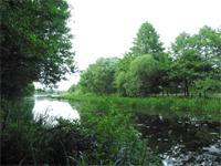 width=200